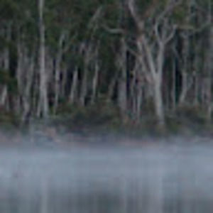 Meet your Posher, George